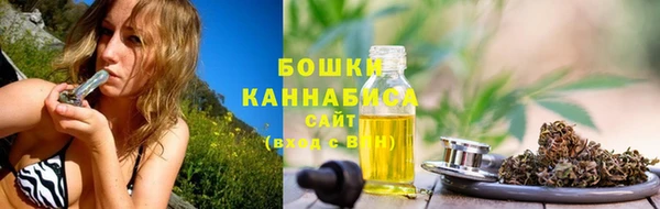 прущая мука Бородино