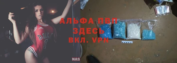 индика Балашиха